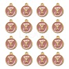 Golden Plated Alloy Enamel Charms LS-ENAM-S118-07Y-2