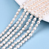 Natural Cultured Freshwater Pearl Beads Strands PEAR-S017-004-2