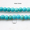 Synthetic Turquoise Beads Strands X-G-H1564-2mm-2-2