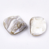 Freshwater Shell Beads SSHEL-T005-11-3