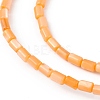 Natural Freshwater Shell Dyed Beads Strands SHEL-M018-12-07-3