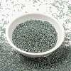 MIYUKI Round Rocailles Beads SEED-G009-RR3201-2