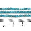 Natural Blue Apatit Beads Strands G-H042-B12-01B-5