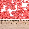 Baking Paint Glass Seed Beads X1-SEED-K010-A08-4