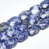 Natural Blue Spot Jasper Beads Strands G-T122-01E-1