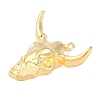 Resin Big Pendants RESI-E008-04G-2