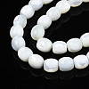 Natural Trochid Shell/Trochus Beads Strands SSHEL-N027-130A-01-3