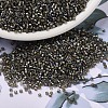 MIYUKI Delica Beads SEED-MY11-DB1773-1