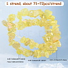 1 Strand Electroplated Natural Quartz Beads Strands G-PA0001-18A-2