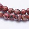 Natural Larvikite Beads Strands G-E443-A19-3