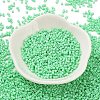 Baking Paint Glass Seed Beads SEED-S042-05B-59-2