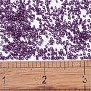 MIYUKI Delica Beads SEED-X0054-DB1312-2