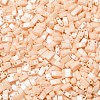 MIYUKI Half TILA Beads X-SEED-J020-HTL593-2