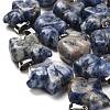 Natural Blue Spot Jasper Pendants G-B127-02P-06-1