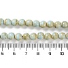 Natural Rainbow Alashan Agate Beads Strands G-NH0022-A01-01-5