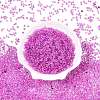 8/0 Inside Colours Transparent Glass Seed Beads SEED-T007-06J-1