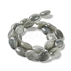Natural Labradorite Beads Strands X-G-L164-A-34-3