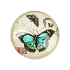Butterfly Printed Glass Half Round/Dome Cabochons X-GGLA-N004-25mm-C-2