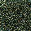 TOHO 8/0 Round Beads SEED-XTR08-1014-2
