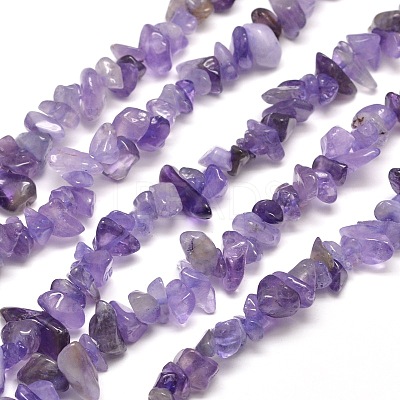 Natural Amethyst Chip Bead Strands G-M205-04-1