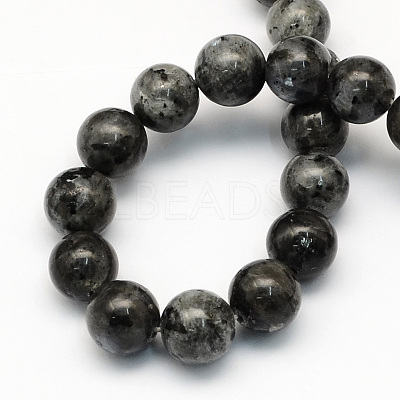 Natural Larvikite Round Beads Strands LS-G-S159-6mm-1