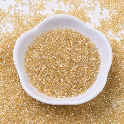 MIYUKI Delica Beads X-SEED-J020-DB0100-1