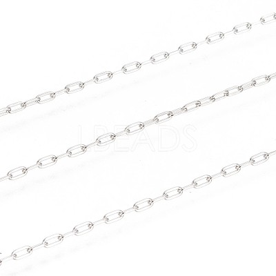 Tarnish Resistant 304 Stainless Steel Paperclip Chains CHS-F010-01A-P-1