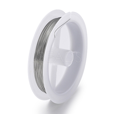 Non-Tarnish 10 Rolls 304 Stainless Steel Wire TWIR-H001-01A-P-1