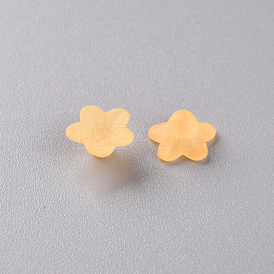 Transparent Acrylic Beads X-PL554-07-1