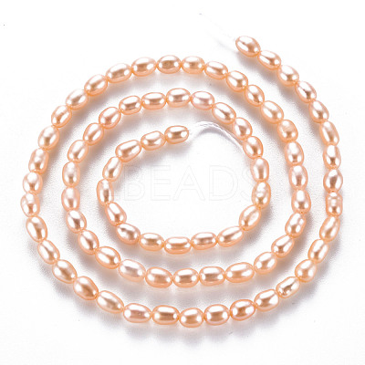 Natural Cultured Freshwater Pearl Beads Strands PEAR-N012-02C-1