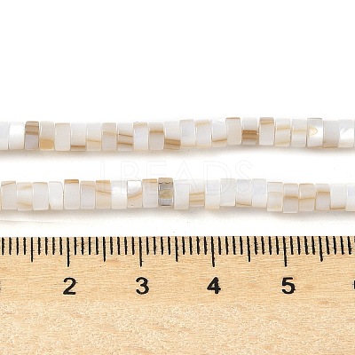 Natural Freshwater Shell Beads Strands X-SSHEL-C013-04A-1