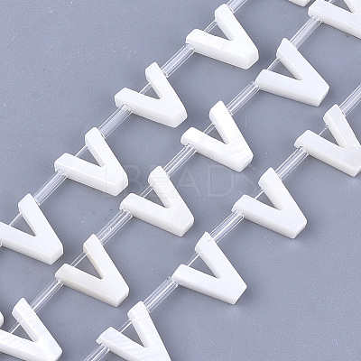 Natural Freshwater Shell Beads SHEL-T012-59V-1