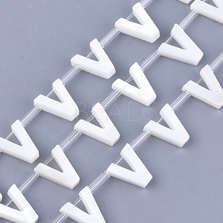Natural Freshwater Shell Beads SHEL-T012-59V-1