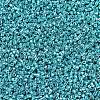 MIYUKI Delica Beads SEED-JP0008-DB0427-3