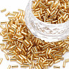 Plated Glass Bugle Beads X-SEED-S046-01A-22B-1