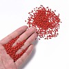 Glass Seed Beads SEED-A010-2mm-45-4