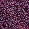 TOHO 11/0 Round Beads SEED-XTR11-0332F-1