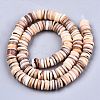 Natural Freshwater Shell Beads Strands SHEL-N026-94B-01-2