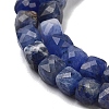 Natural Sodalite Beads Strands G-H042-A08-02-4