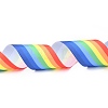Rainbow Polyester Ribbon OCOR-G008-02-3