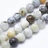 Natural White African Opal Beads Strands G-E472-02-10mm-1