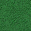 11/0 Grade A Baking Paint Glass Seed Beads X-SEED-N001-A-1028-2