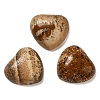 Natural Picture Jasper Cabochons G-F776-02A-17-1