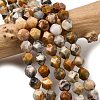 Natural Crazy Agate Beads Strands G-Z119-A13-02-1