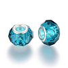Handmade Glass European Beads X-GPDL25Y-77-2