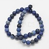 Frosted Round Natural Grade AA Sodalite Beads Strands G-N0166-68-4mm-3