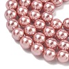 Electroplated Shell Pearl Beads Strands BSHE-G041-8mm-05-3