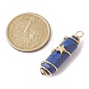Natural Lapis Lazuli Copper Wire Wrapped Pointed Pendants PALLOY-JF02461-03-2