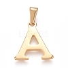 304 Stainless Steel Pendants STAS-F106-95G-A-01-1