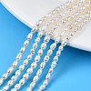 Natural Cultured Freshwater Pearl Beads Strands PEAR-N012-03B-1